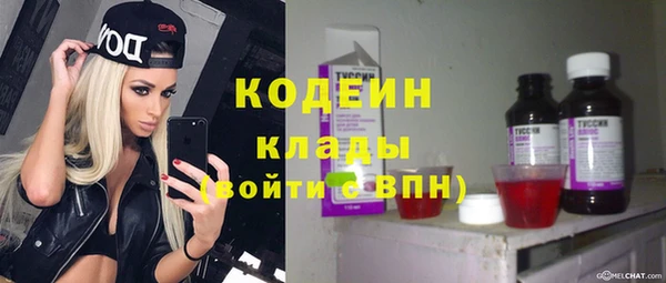 ешки Горняк