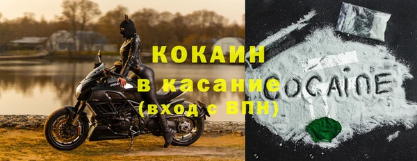 ешки Горняк