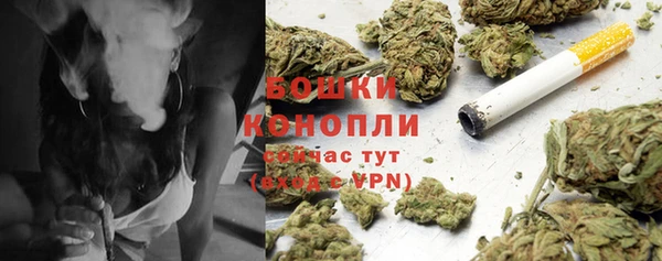PSILOCYBIN Строитель